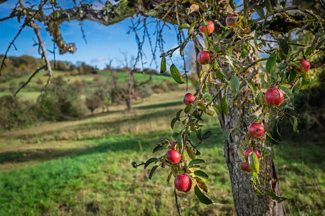 Foto: Alle eigene Fotos von GT