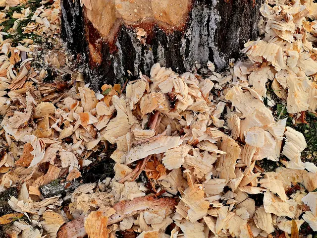 Foto: Heidrun Rosenberger