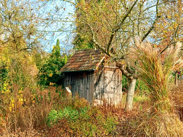 Eine hübsche alte Hütte inmitten von verblühten Stauden und schönen Gräsern.  | Foto: sigischlottke