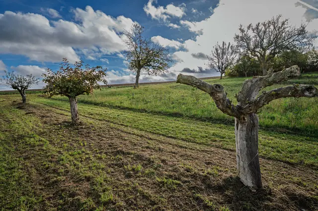Foto: Alle eigene Fotos von GT