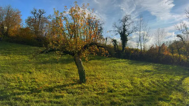 Foto: Alle eigene Fotos von GT