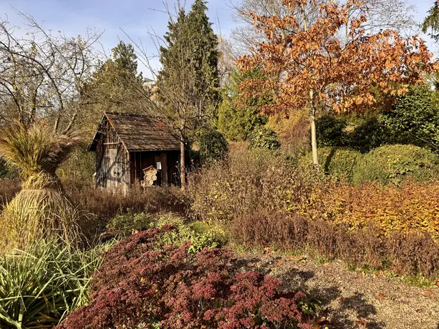 Foto: Heide Böllinger aus Bad Friedrichshall