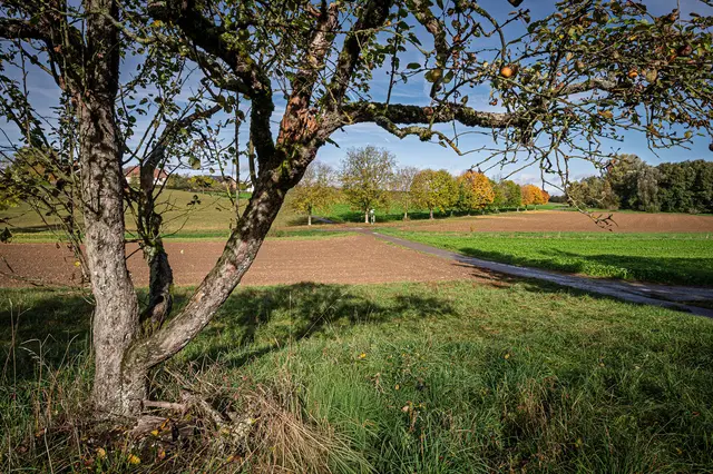 Foto: Alle eigene Fotos von GT