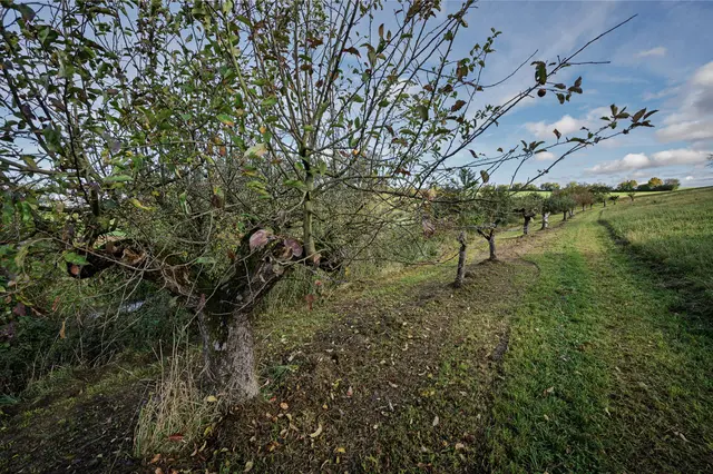 Foto: Alle eigene Fotos von GT