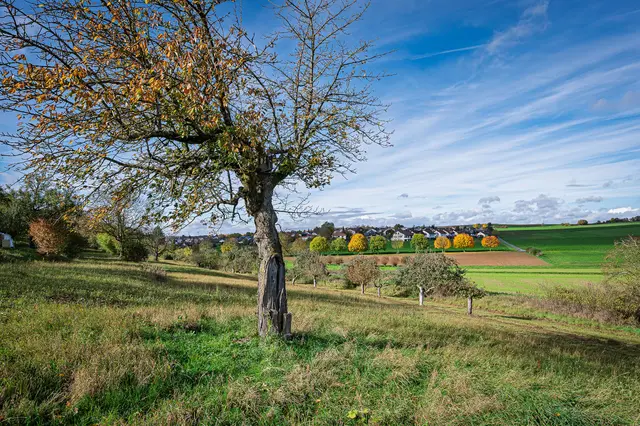 Foto: Alle eigene Fotos von GT