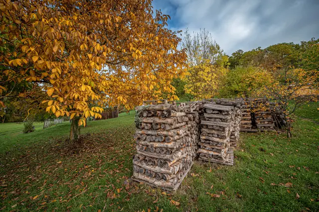 Foto: Alle eigene Fotos von GT