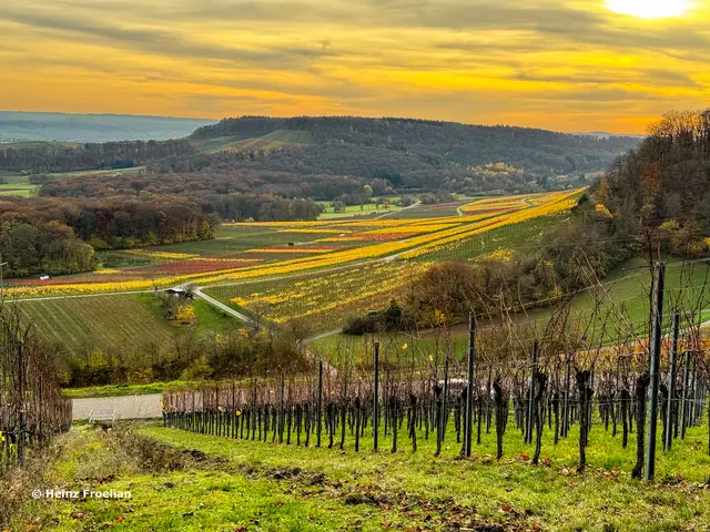 Foto: Heinz Froelian