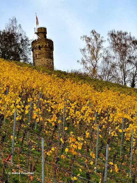 Foto: Heinz Froelian