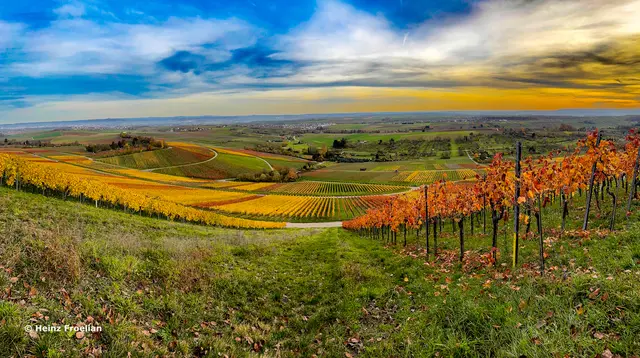 Foto: Heinz Froelian