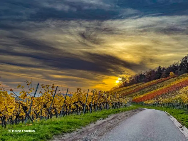 Foto: Heinz Froelian