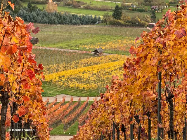 Foto: Heinz Froelian