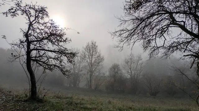 Foto: Eigene Aufnahme