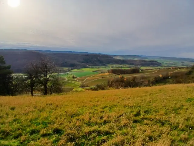 Unten sieht man die noch bunten Weinberge.  | Foto: sigischlottke