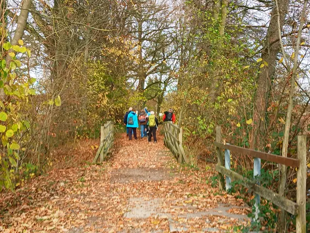 Idyllisches Brückle.   | Foto: sigischlottke