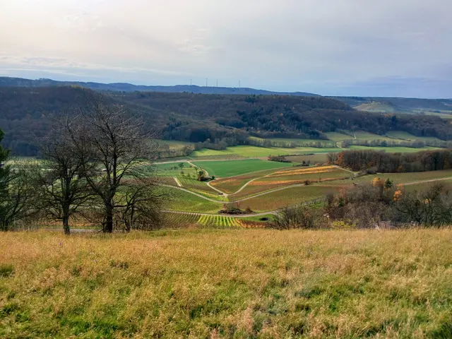Eine total schöne Gegend.   | Foto: sigischlottke