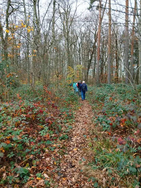 Bald ist das Ende unserer November-Tour erreicht.  Total schön war's 😀. | Foto: sigischlottke