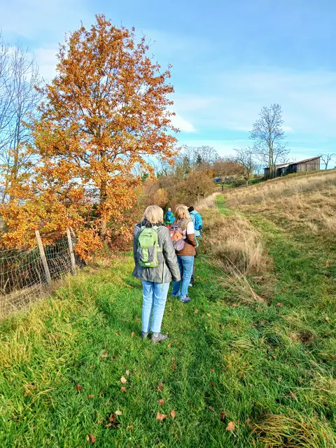 Auf weichen Pfaden geht's Richtung Charlottenschlössle.  | Foto: sigischlottke