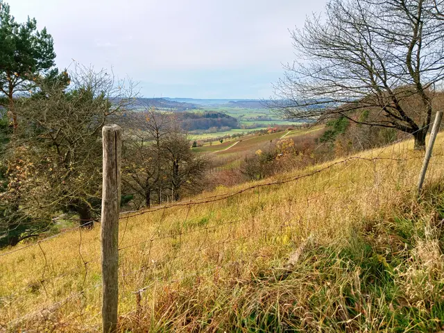 Hier geht's schon zur anderen Seite  - Richtung Brettachtal.   | Foto: sigischlottke