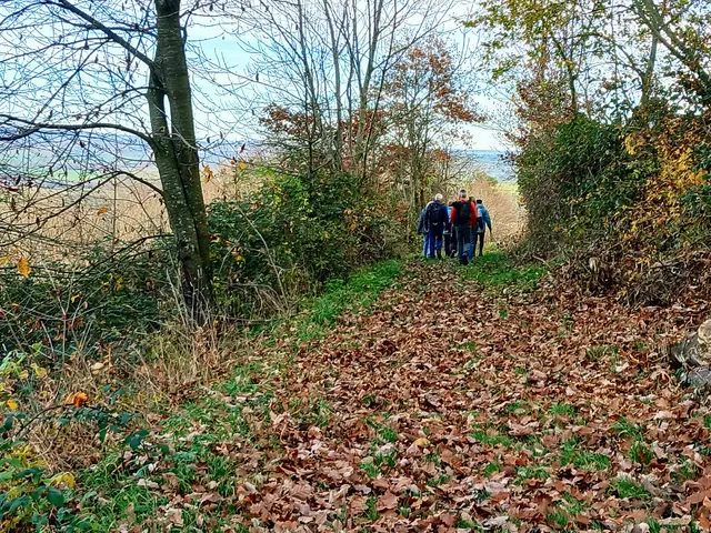 Das Herbstlaub hat seinen weichen und raschelnden Teppich ausgerollt.   | Foto: sigischlottke