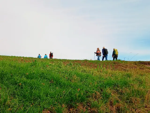 Nun geht's weiter Richtung Buchhorner See.   | Foto: sigischlottke