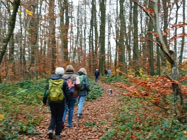 Nach der Einkehr wandern wir ein Stückchen durch wunderschönen Herbstwald. | Foto: sigischlottke