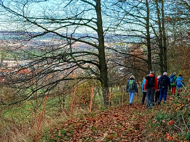 Bevor wir total freie Sicht haben geben die unbelaubten Bäume immer wieder Blicke auf Öhringen hinunter frei. | Foto: sigischlottke