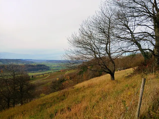 Auch hier kann man die Blicke weit schweifen lassen.   | Foto: sigischlottke