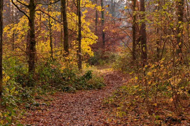 Foto: Eigenes Bild TB