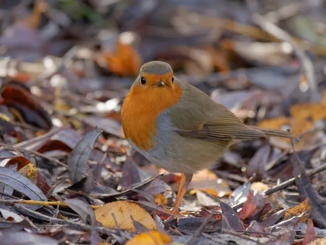 Foto: Eigenes Bild TB