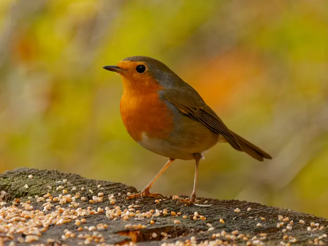 Foto: Eigenes Bild TB