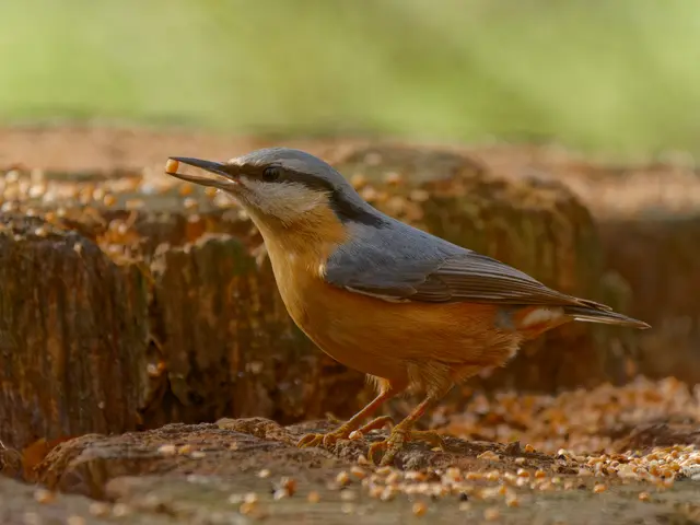 Foto: Eigenes Bild TB