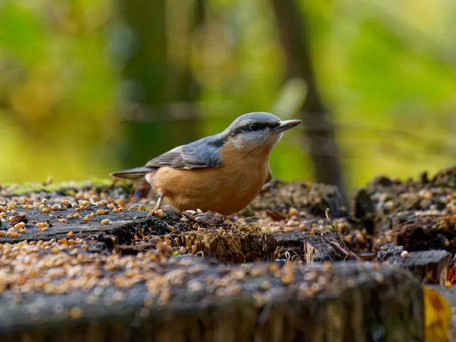 Foto: Eigenes Bild TB