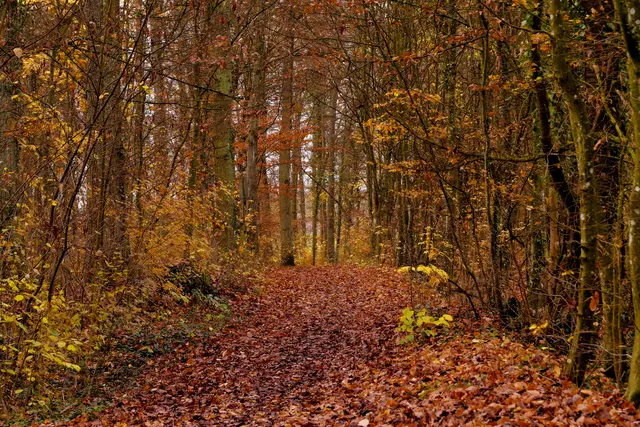 Foto: Eigenes Bild TB