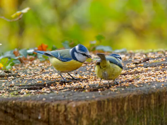 Foto: Eigenes Bild TB