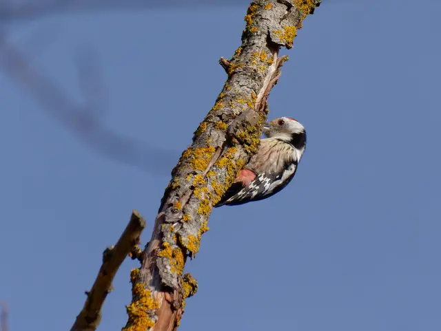 Foto: Eigenes Bild TB