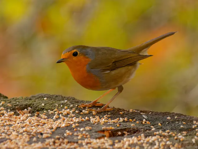 Foto: Eigenes Bild TB