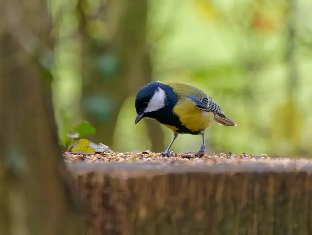 Foto: Eigenes Bild TB