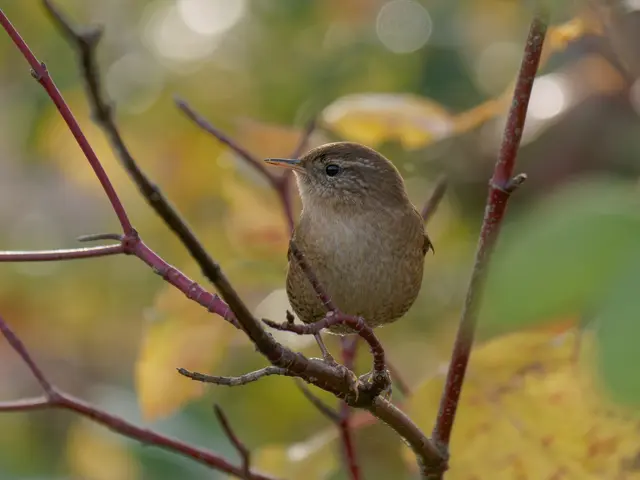 Foto: Eigenes Bild TB