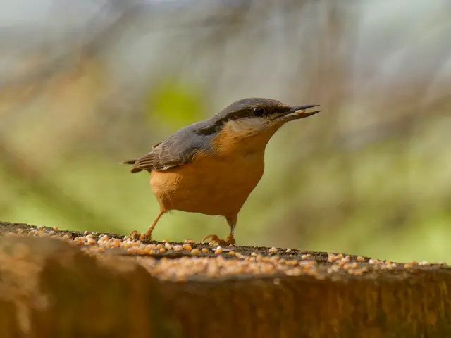 Foto: Eigenes Bild TB