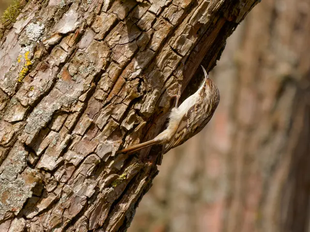 Foto: Eigenes Bild TB