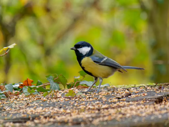 Foto: Eigenes Bild TB