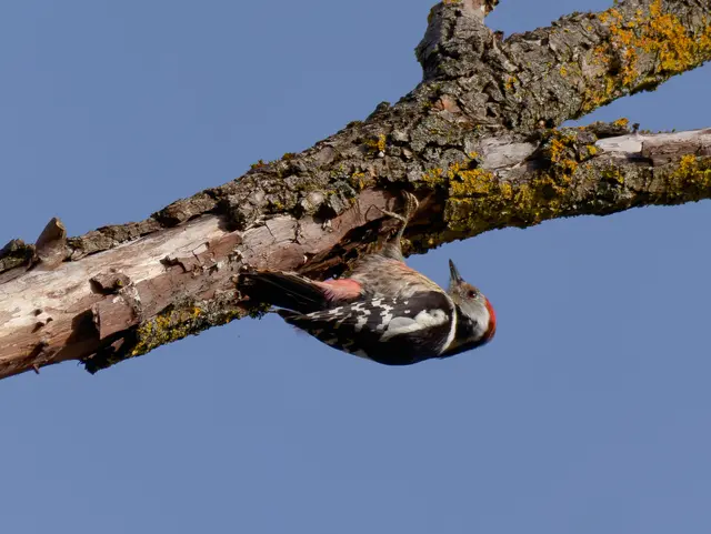 Foto: Eigenes Bild TB