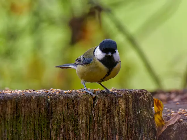 Foto: Eigenes Bild TB