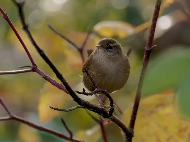 Foto: Eigenes Bild TB