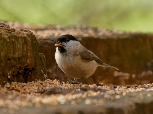 Foto: Eigenes Bild TB