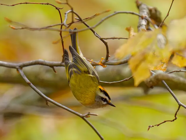 Foto: Eigenes Bild TB