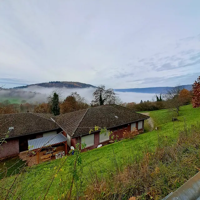 Foto: Eduard Warenik