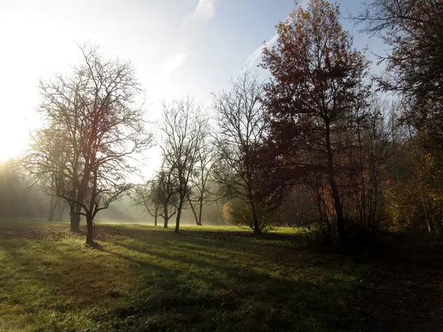 Herbststimmung im Köpfertal | Foto: WandernGabyErich