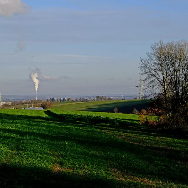 Foto: Eduard Warenik