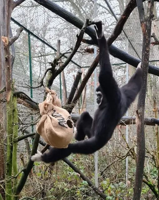 Foto: Leintalzoo Schwaigern